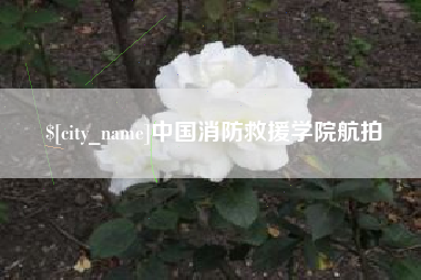 营口中国消防救援学院航拍