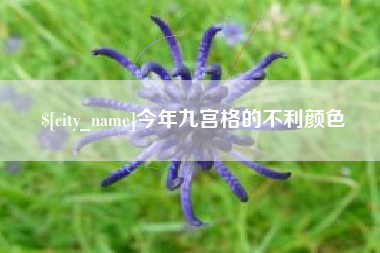 营口今年九宫格的不利颜色