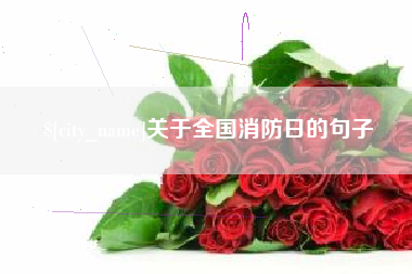营口关于全国消防日的句子