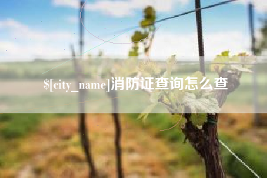 营口消防证查询怎么查