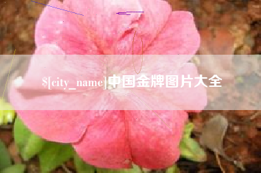 营口中国金牌图片大全