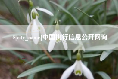营口中国执行信息公开网询