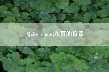 营口九宫的位置