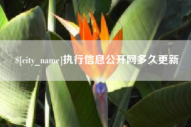 营口执行信息公开网多久更新