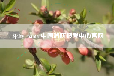 营口中国消防报考中心官网
