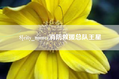 营口消防救援总队王星