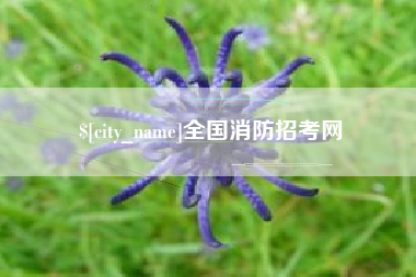 营口全国消防招考网