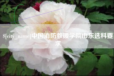 营口中国消防救援学院山东选科要求