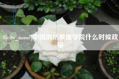 营口中国消防救援学院什么时候政审