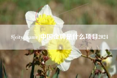 营口中国金牌是什么项目2024