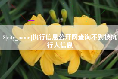 营口执行信息公开网查询不到被执行人信息
