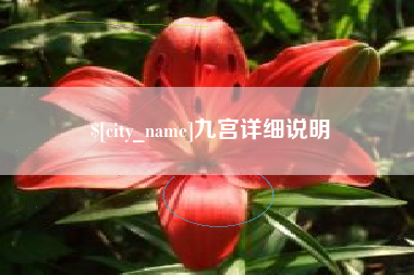营口九宫详细说明