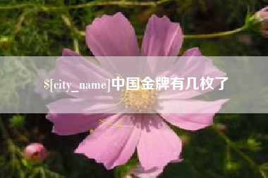 营口中国金牌有几枚了