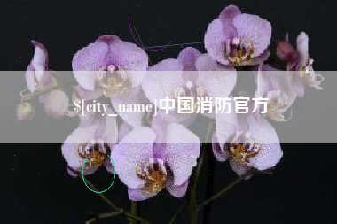 营口中国消防官方