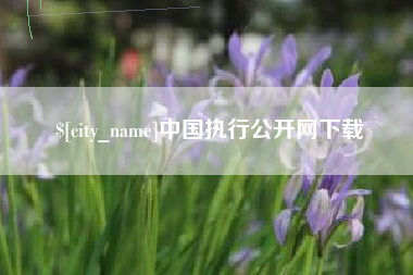 营口中国执行公开网下载