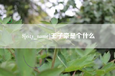 营口王子豪是个什么