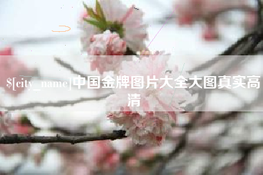 营口中国金牌图片大全大图真实高清