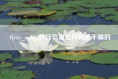 营口执行信息公开网是干嘛的