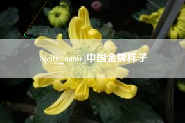 营口中国金牌样子