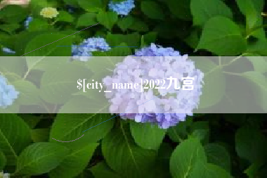 营口2022九宫