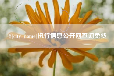 营口执行信息公开网查询免费